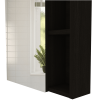 Whirlwind 1-Shelf Rectangle Medicine Cabinet with Mirror Black Wengue