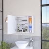 Myrick 2-Shelf Medicine Cabinet with Mirror White
