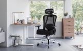 Office Chair, Ergonomic Home Office Desk Chairs, Swivel Chair with 2DLumbar Support and 3D Headrest,Mesh Comfortable Work Chair Adjustable 3D Armrests