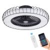 20 Inch Ceiling Fan with Lights(Black)