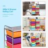 15 Drawer Rolling Storage Cart Storage Rolling Cart Drawer