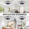 20 Inch Ceiling Fan with Lights(Black)